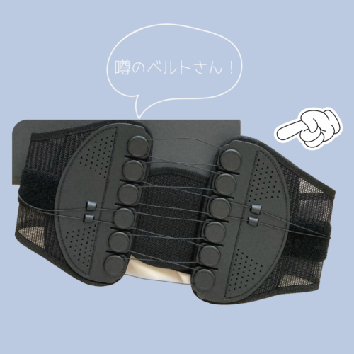 belt
