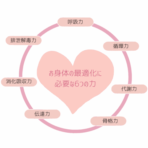 body-function